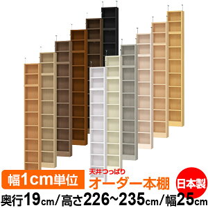 V ς I[_[ {I [ I I bN TCYI[_[ ^ V ˂ yzVς I[_[bN s19cm 226`235cm 25cmyW^CvzyI[_[{I 