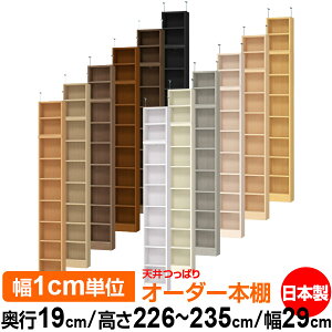 V ς I[_[ {I [ I I bN TCYI[_[ ^ V ˂ yzVς I[_[bN s19cm 226`235cm 29cmyW^CvzyI[_[{I 