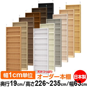 V ς I[_[ {I [ I I bN TCYI[_[ ^ V ˂ yzVς I[_[bN s19cm 226`235cm 63cmyW^CvzyI[_[{I 