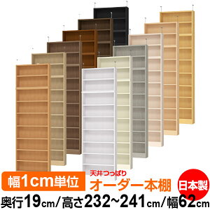 V ς I[_[ {I [ I I bN TCYI[_[ ^ V ˂ yzVς I[_[bN s19cm 232`241cm 62cmyW^CvzyI[_[{I 