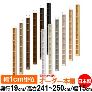 V ς I[_[ {I [ I I bN TCYI[_[ ^ V ˂ yzVς I[_[bN s19cm 241.1`250.1cm 15cmyW^CvzyI[_[{