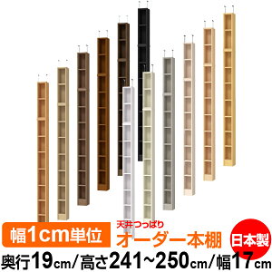 V ς I[_[ {I [ I I bN TCYI[_[ ^ V ˂ yzVς I[_[bN s19cm 241.1`250.1cm 17cmyW^CvzyI[_[{