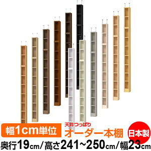 V ς I[_[ {I [ I I bN TCYI[_[ ^ V ˂ yzVς I[_[bN s19cm 241.1`250.1cm 23cmyW^CvzyI[_[{