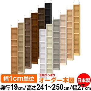 V ς I[_[ {I [ I I bN TCYI[_[ ^ V ˂ yzVς I[_[bN s19cm 241.1`250.1cm 27cmyW^CvzyI[_[{