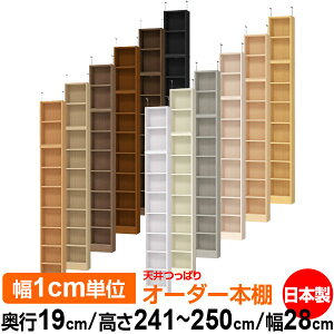 V ς I[_[ {I [ I I bN TCYI[_[ ^ V ˂ yzVς I[_[bN s19cm 241.1`250.1cm 28cmyW^CvzyI[_[{