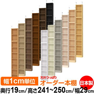 V ς I[_[ {I [ I I bN TCYI[_[ ^ V ˂ yzVς I[_[bN s19cm 241.1`250.1cm 29cmyW^CvzyI[_[{