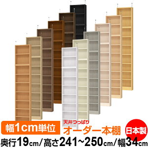 V ς I[_[ {I [ I I bN TCYI[_[ ^ V ˂ yzVς I[_[bN s19cm 241.1`250.1cm 34cmyW^CvzyI[_[{