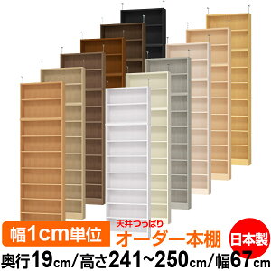 V ς I[_[ {I [ I I bN TCYI[_[ ^ V ˂ yzVς I[_[bN s19cm 241.1`250.1cm 67cmyW^CvzyI[_[{