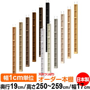 V ς I[_[ {I [ I I bN TCYI[_[ ^ V ˂ yzVς I[_[bN s19cm 250`259cm 17cmyW^CvzyI[_[{I 