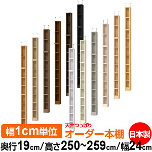 V ς I[_[ {I [ I I bN TCYI[_[ ^ V ˂ yzVς I[_[bN s19cm 250`259cm 24cmyW^CvzyI[_[{I 