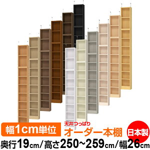 V ς I[_[ {I [ I I bN TCYI[_[ ^ V ˂ yzVς I[_[bN s19cm 250`259cm 26cmyW^CvzyI[_[{I 