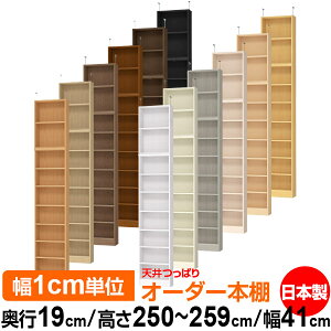 V ς I[_[ {I [ I I bN TCYI[_[ ^ V ˂ yzVς I[_[bN s19cm 250`259cm 41cmyW^CvzyI[_[{I 