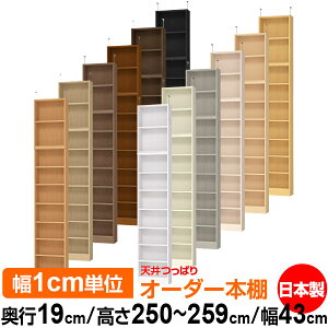 V ς I[_[ {I [ I I bN TCYI[_[ ^ V ˂ yzVς I[_[bN s19cm 250`259cm 43cmyW^CvzyI[_[{I 
