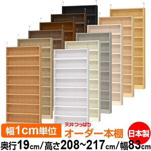 V ς I[_[ {I [ I I bN TCYI[_[ ^ V ˂yzVς I[_[bN s19cm 208`217cm 83cmyω׏dE^t^CvzyI[_