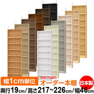 V ς I[_[ {I [ I I bN TCYI[_[ ^ V ˂yzVς I[_[bN s19cm 217`226cm 46cmyω׏dE^t^CvzyI[_