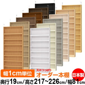 V ς I[_[ {I [ I I bN TCYI[_[ ^ V ˂yzVς I[_[bN s19cm 217`226cm 81cmyω׏dE^t^CvzyI[_