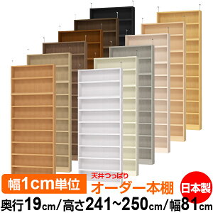 V ς I[_[ {I [ I I bN TCYI[_[ ^ V ˂yzVς I[_[bN s19cm 241.1`250.1cm 81cmyω׏dE^t^CvzyI