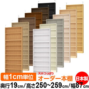 V ς I[_[ {I [ I I bN TCYI[_[ ^ V ˂yzVς I[_[bN s19cm 250`259cm 87cmyω׏dE^t^CvzyI[_