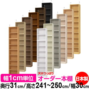 V ς I[_[ {I [ I I bN TCYI[_[ I V ˂ yzVς I[_[bN s31cm 241.1`250.1cm 30cmyW^CvzyI[_[{