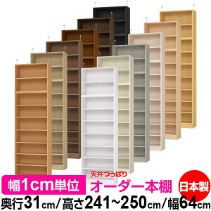 V ς I[_[ {I [ I I bN TCYI[_[ I V ˂ yzVς I[_[bN s31cm 241.1`250.1cm 64cmyW^CvzyI[_[{