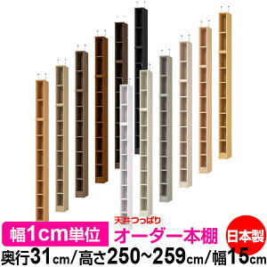 V ς I[_[ {I [ I I bN TCYI[_[ I V ˂ yzVς I[_[bN s31cm 250`259cm 15cmyW^CvzyI[_[{I 