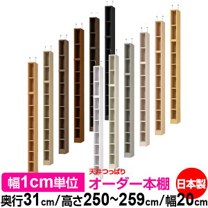 V ς I[_[ {I [ I I bN TCYI[_[ I V ˂ yzVς I[_[bN s31cm 250`259cm 20cmyW^CvzyI[_[{I 