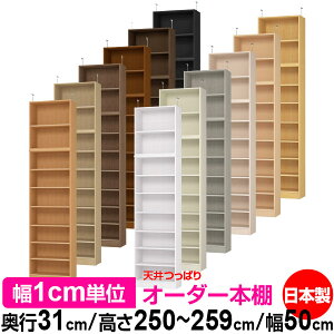 V ς I[_[ {I [ I I bN TCYI[_[ I V ˂ yzVς I[_[bN s31cm 250`259cm 50cmyW^CvzyI[_[{I 