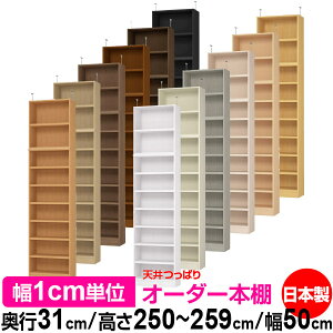 V ς I[_[ {I [ I I bN TCYI[_[ V ˂yzVς I[_[bN s31cm 250`259cm 50cmyω׏dE^t^CvzyI[_[{