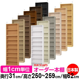 V ς I[_[ {I [ I I bN TCYI[_[ V ˂yzVς I[_[bN s31cm 250`259cm 62cmyω׏dE^t^CvzyI[_[{