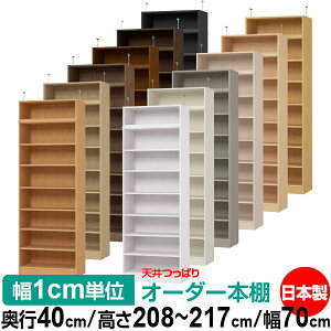 V ς I[_[ {I [ I I bN TCYI[_[ I V ˂ yzVς I[_[bN s40cm 208`217cm 70cmyW^CvzyI[_[{I 