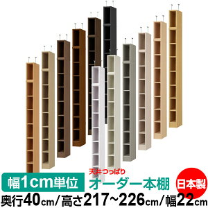 V ς I[_[ {I [ I I bN TCYI[_[ I V ˂ yzVς I[_[bN s40cm 217`226cm 22cmyW^CvzyI[_[{I 