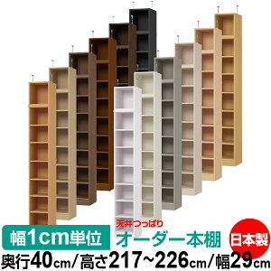 V ς I[_[ {I [ I I bN TCYI[_[ I V ˂ yzVς I[_[bN s40cm 217`226cm 29cmyW^CvzyI[_[{I 