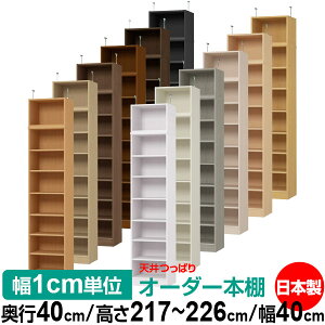 V ς I[_[ {I [ I I bN TCYI[_[ I V ˂ yzVς I[_[bN s40cm 217`226cm 40cmyW^CvzyI[_[{I 