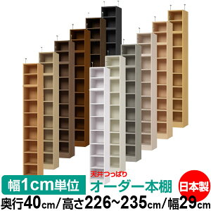 V ς I[_[ {I [ I I bN TCYI[_[ I V ˂ yzVς I[_[bN s40cm 226`235cm 29cmyW^CvzyI[_[{I 