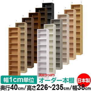 V ς I[_[ {I [ I I bN TCYI[_[ I V ˂ yzVς I[_[bN s40cm 226`235cm 38cmyW^CvzyI[_[{I 