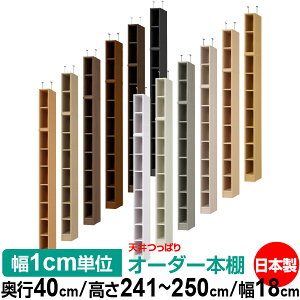 V ς I[_[ {I [ I I bN TCYI[_[ I V ˂ yzVς I[_[bN s40cm 241.1`250.1cm 18cmyW^CvzyI[_[{