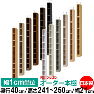 V ς I[_[ {I [ I I bN TCYI[_[ I V ˂ yzVς I[_[bN s40cm 241.1`250.1cm 21cmyW^CvzyI[_[{