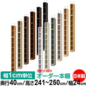 V ς I[_[ {I [ I I bN TCYI[_[ I V ˂ yzVς I[_[bN s40cm 241.1`250.1cm 24cmyW^CvzyI[_[{