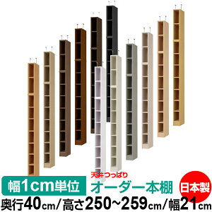 V ς I[_[ {I [ I I bN TCYI[_[ I V ˂ yzVς I[_[bN s40cm 250`259cm 21cmyW^CvzyI[_[{I 