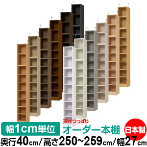 V ς I[_[ {I [ I I bN TCYI[_[ I V ˂ yzVς I[_[bN s40cm 250`259cm 27cmyW^CvzyI[_[{I 