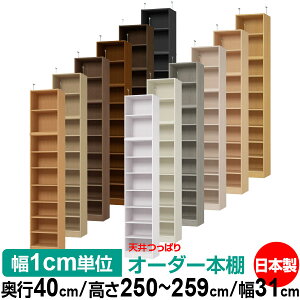 V ς I[_[ {I [ I I bN TCYI[_[ I V ˂ yzVς I[_[bN s40cm 250`259cm 31cmyW^CvzyI[_[{I 