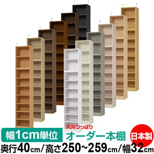 V ς I[_[ {I [ I I bN TCYI[_[ I V ˂ yzVς I[_[bN s40cm 250`259cm 32cmyW^CvzyI[_[{I 