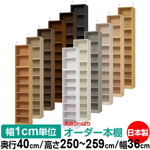 V ς I[_[ {I [ I I bN TCYI[_[ I V ˂ yzVς I[_[bN s40cm 250`259cm 36cmyW^CvzyI[_[{I 