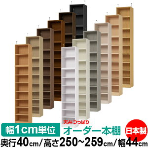 V ς I[_[ {I [ I I bN TCYI[_[ I V ˂ yzVς I[_[bN s40cm 250`259cm 44cmyW^CvzyI[_[{I 