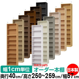 V ς I[_[ {I [ I I bN TCYI[_[ I V ˂ yzVς I[_[bN s40cm 250`259cm 57cmyW^CvzyI[_[{I 