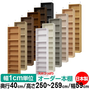 V ς I[_[ {I [ I I bN TCYI[_[ I V ˂ yzVς I[_[bN s40cm 250`259cm 59cmyW^CvzyI[_[{I 