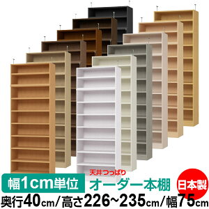 V ς I[_[ {I [ I I bN TCYI[_[ V ˂yzVς I[_[bN s40cm 226`235cm 75cmyω׏dE^t^CvzyI[_[{