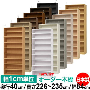 V ς I[_[ {I [ I I bN TCYI[_[ V ˂yzVς I[_[bN s40cm 226`235cm 84cmyω׏dE^t^CvzyI[_[{