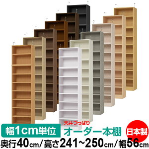 V ς I[_[ {I [ I I bN TCYI[_[ V ˂yzVς I[_[bN s40cm 241.1`250.1cm 56cmyω׏dE^t^CvzyI[_[