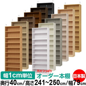 V ς I[_[ {I [ I I bN TCYI[_[ V ˂yzVς I[_[bN s40cm 241.1`250.1cm 79cmyω׏dE^t^CvzyI[_[